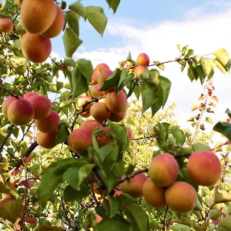 Lilli 2 Lejlighed Ferrara