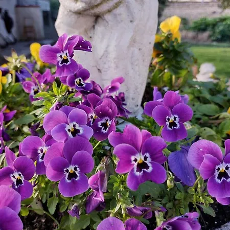 Apartament Lilli 2 Ferrara