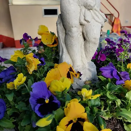 Lilli 2 Apartament Ferrara