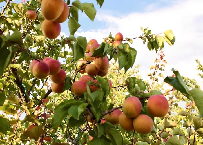 Lilli 2 Apartament Ferrara