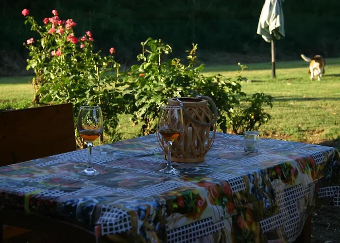 Apartament Lilli 2 *