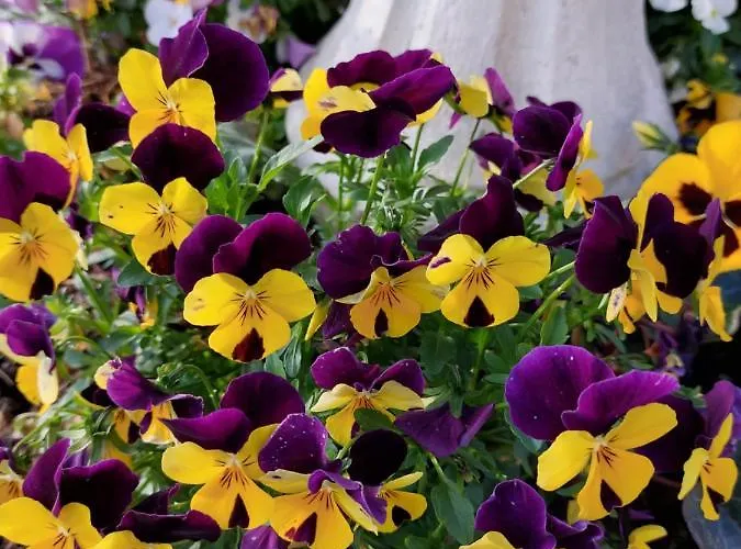 Lilli 2 Apartman Ferrara