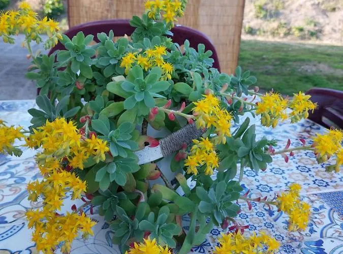 Apartament Lilli 2 Ferrara